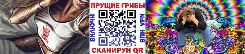 Псилоцибиновые грибы прущие грибы  хочу наркоту  Казань 