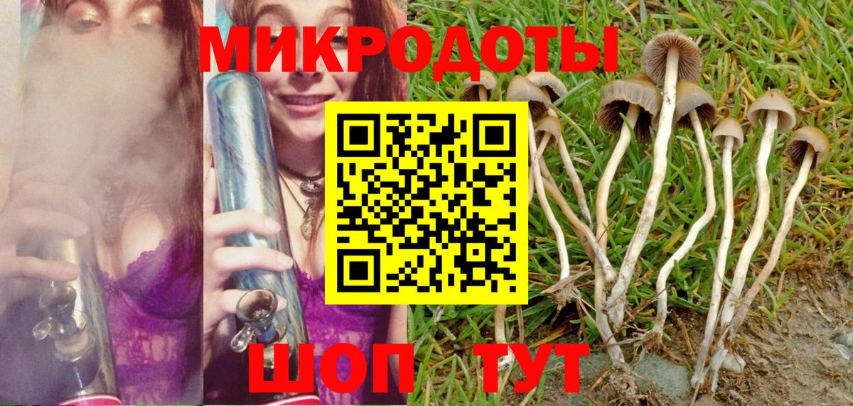 Казань  Галлюциногенные грибы мицелий  Вход с VPN 