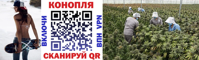 Шишки марихуана THC 21%  Казань 